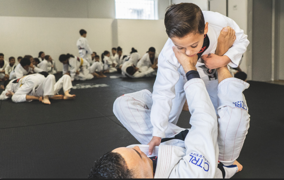 Jiu Jitsu Class Term Two